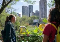 educadores ambientais