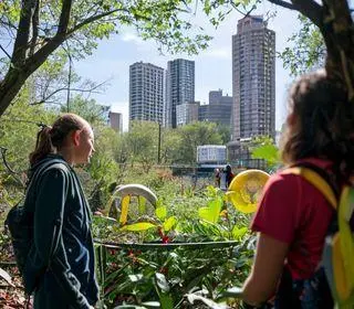educadores ambientais
