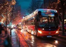 ônibus iluminados de Natal