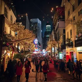 Vilazinha de Belém 2025