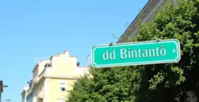 Almiro do Butantã 35033