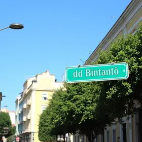 Almiro do Butantã 35033