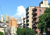 recuperação de área no Butantã