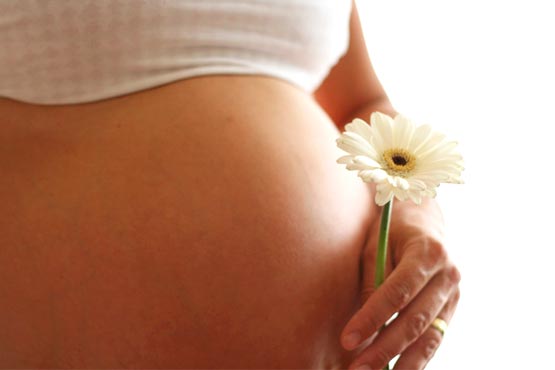 Butantã terá vacina contra a coqueluche para gestantes vacina-gestantes-butanta