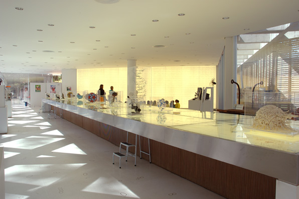 exposicao-museu-de-microbiologia