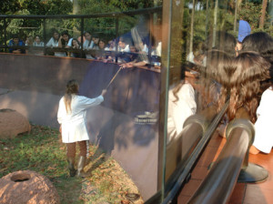 Estudantes em atividade no Serpentário do Instituto Butantan - Foto: Instituto Butantan
