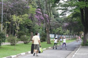 Área do Parque do Instituto Butantan Área do Parque do Instituto Butantan