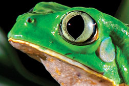 A exposicão do Instituto Butantã passará por três estações do metrô de São Paulo