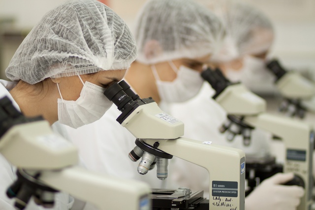 A descoberta da molécula do carrapato veio a partir de outros testes realizados pelos pesquisadores do Instituto Butantan