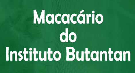 macacario-instituto-butantan