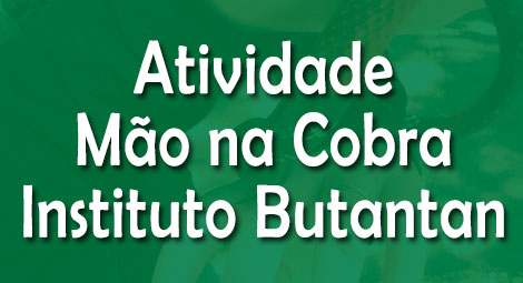Atividade Mão na cobra Instituto Butantan mao-na-cobra-instituto-butantan