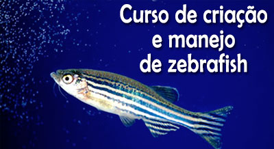 Instituto Butantan divulga lista de aprovados para o curso de zebrafish Curso Zebrafish Instituto Butantan