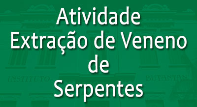 Extração do veneno de serpentes é tema da nova atividade do Instituto Butantan instituto-butantan-extracao-veneno
