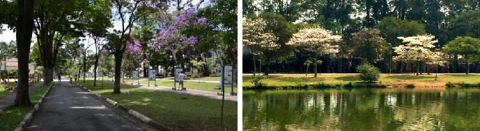 parques-areas-verdes-no-butanta