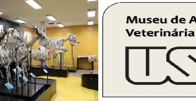 museu-anatomia-veterianaria-usp