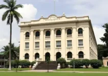 Instituto Butantan