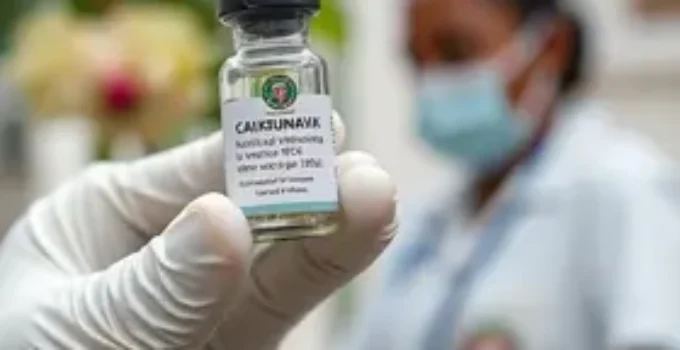 vacina contra chikungunya