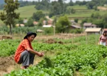 programa Sampa+Rural