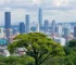 árvores plantadas em São Paulo
