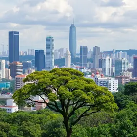 árvores plantadas em São Paulo