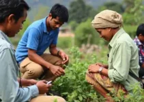 rastreamento de doenças