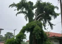 chuva em Pouso Alegre
