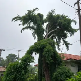 chuva em Pouso Alegre