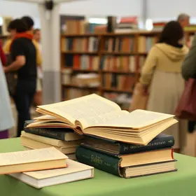 livros esquecidos na estante