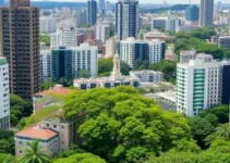 São Paulo árvores plantadas