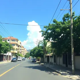Almiro do Butantã