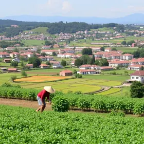 Sampa+Rural